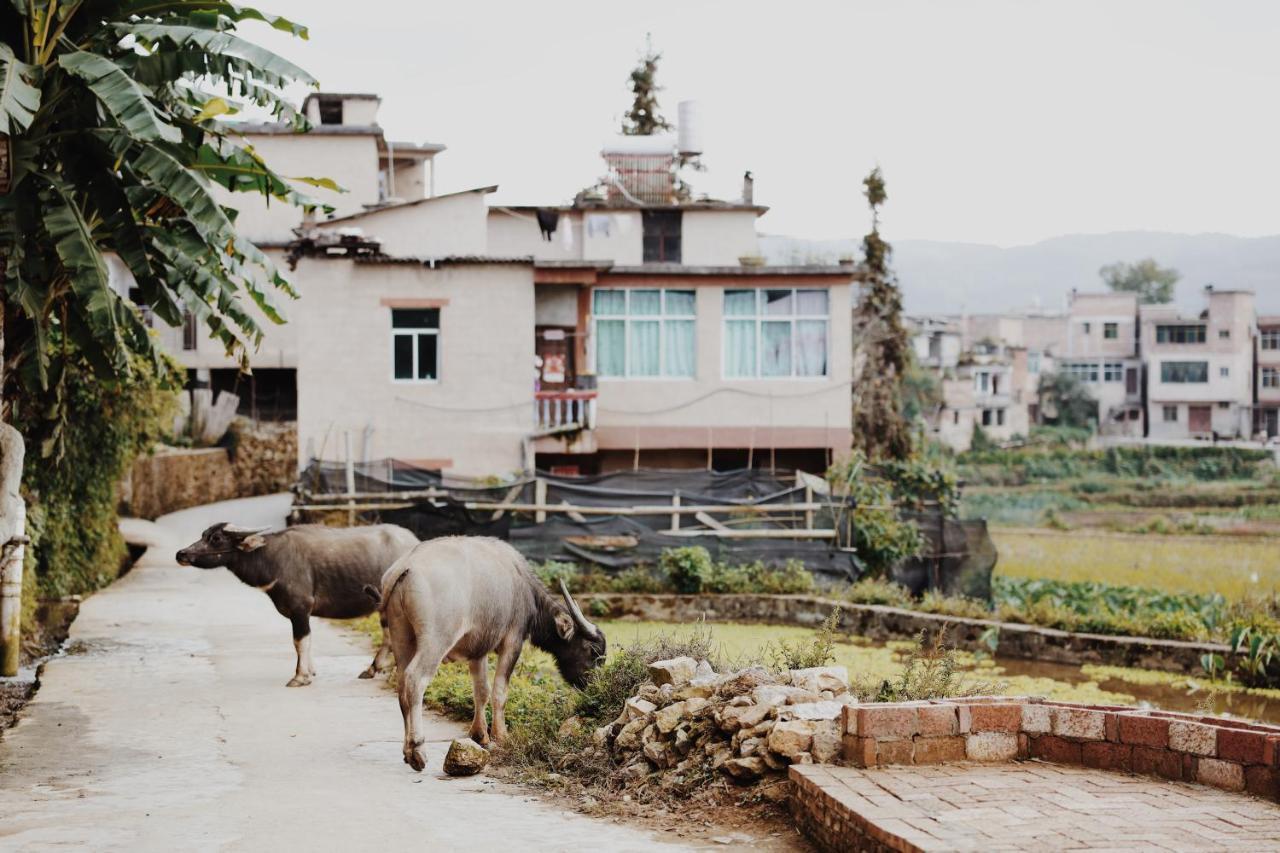 The Twelve Manor•Terraces Lodge Yuanyang  Exterior photo